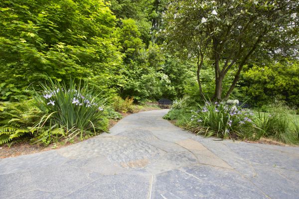 Stone Hardscape Service in Bothell